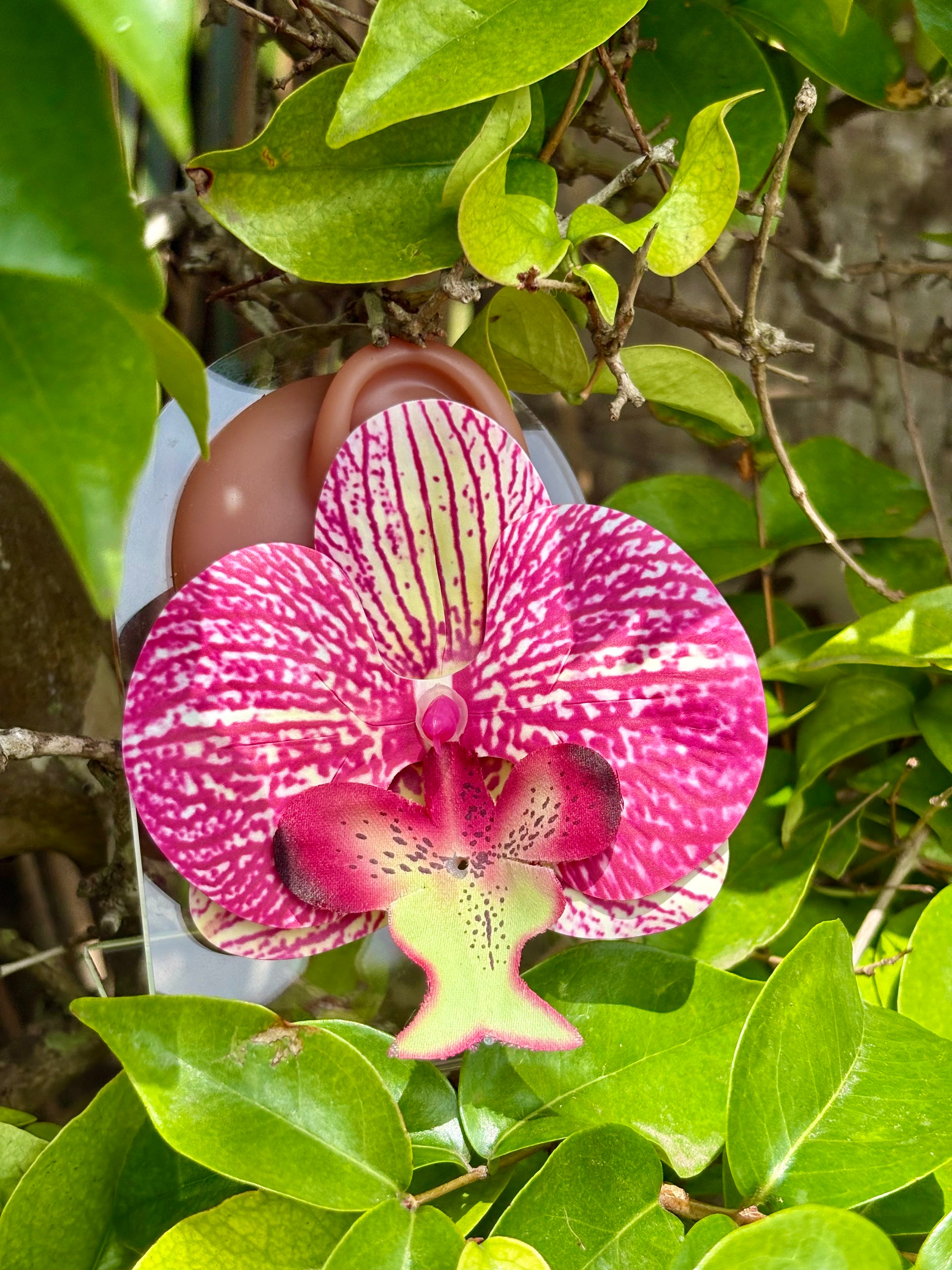 Wild Orchid