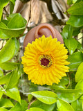 Sunflower muse