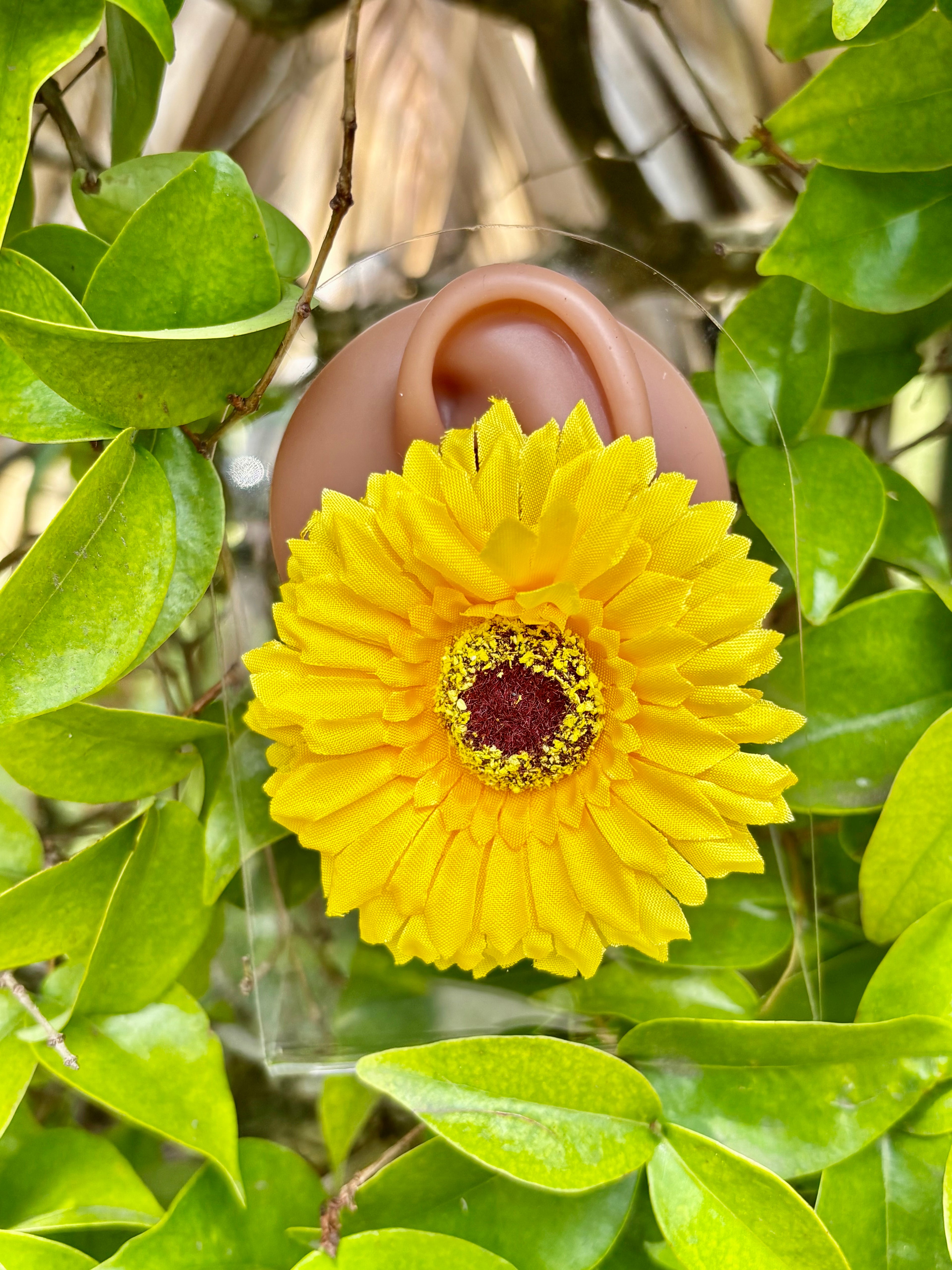 Sunflower muse