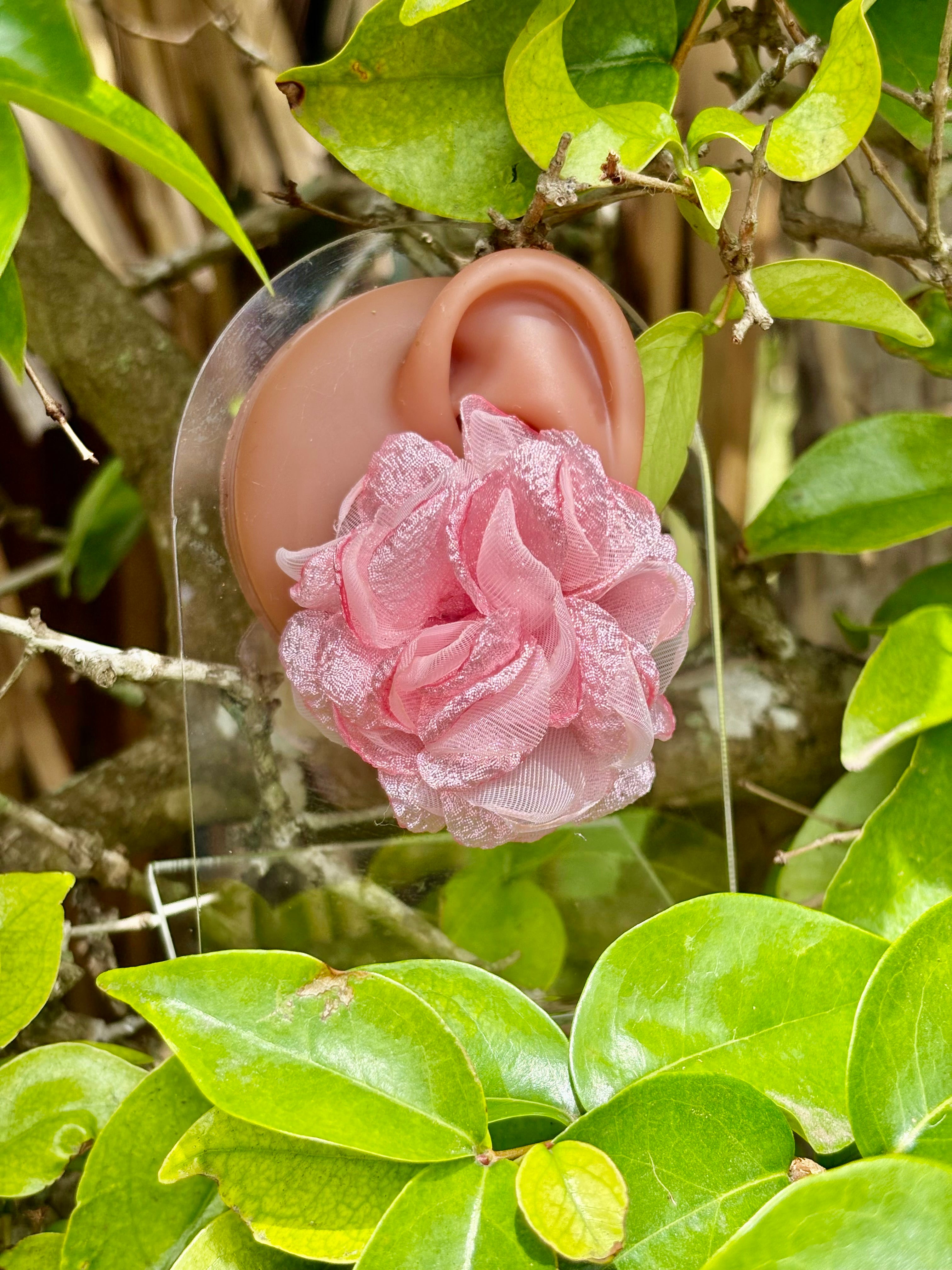 Velvet Bloom