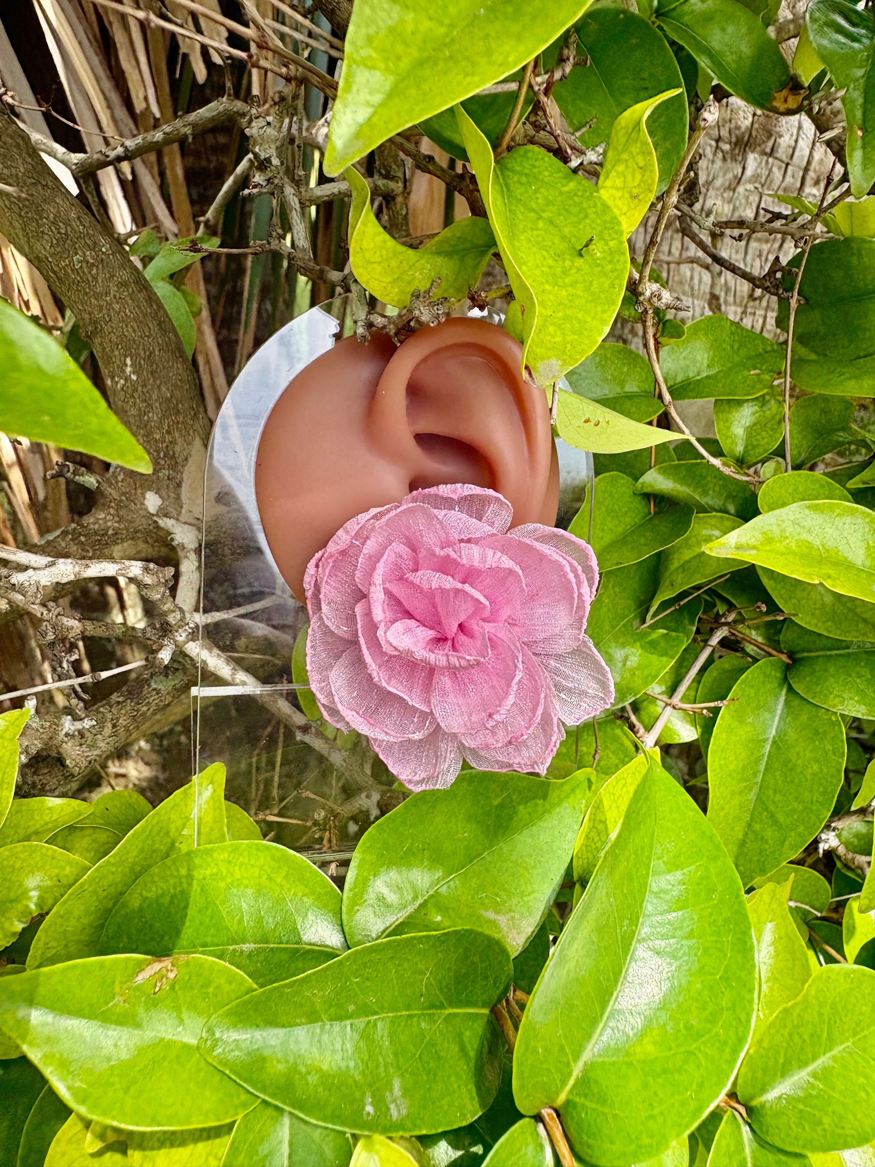 Sheer bloom