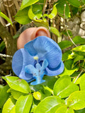 Blue Orchid