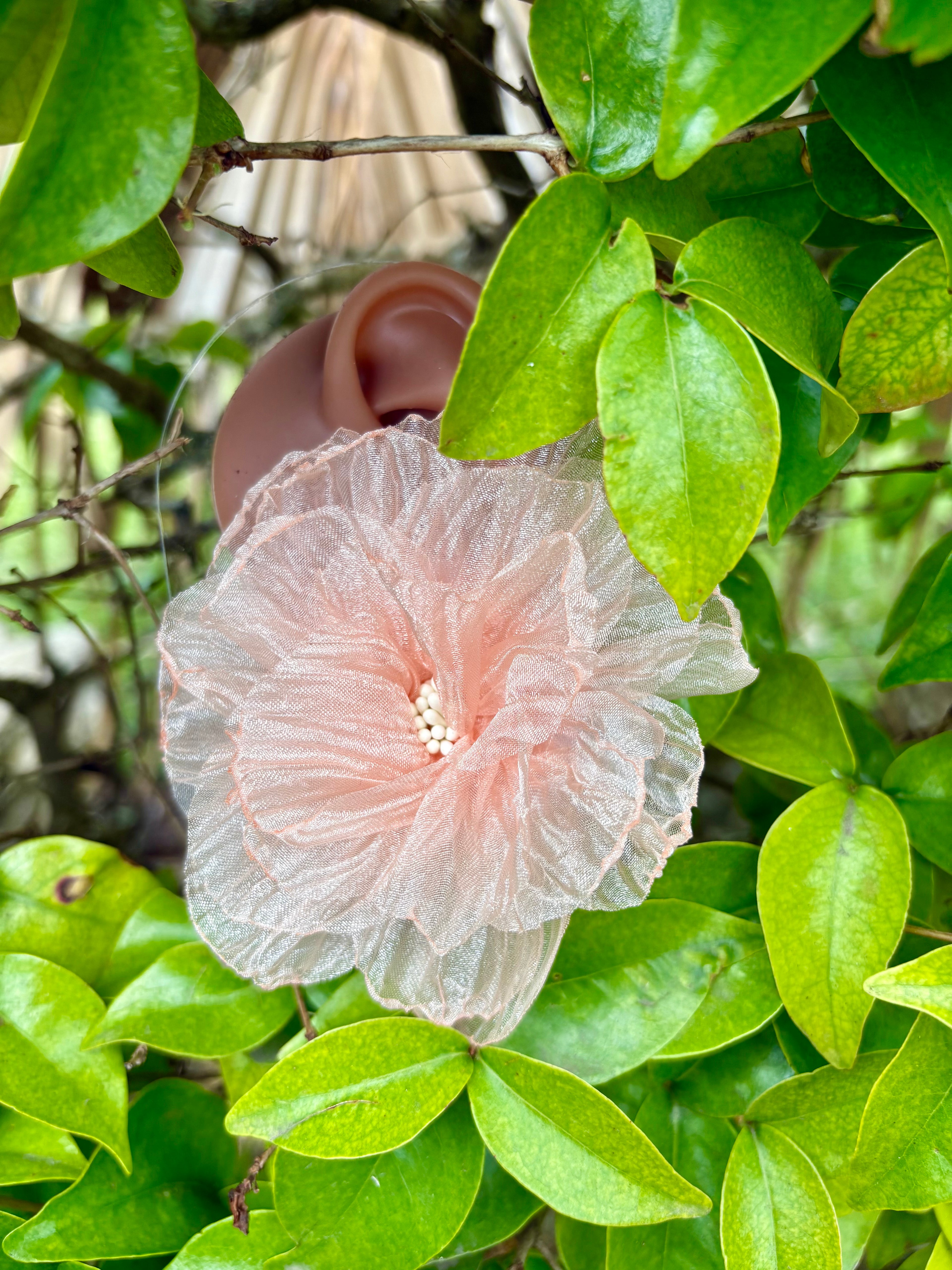 Pink Organza